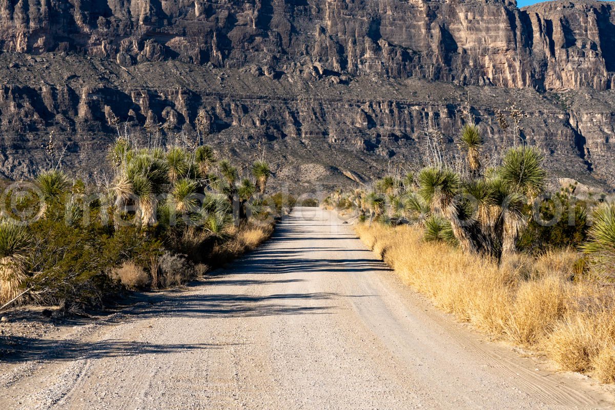 Old Maverick Road (Dirt Road), Big Bend A4-12126