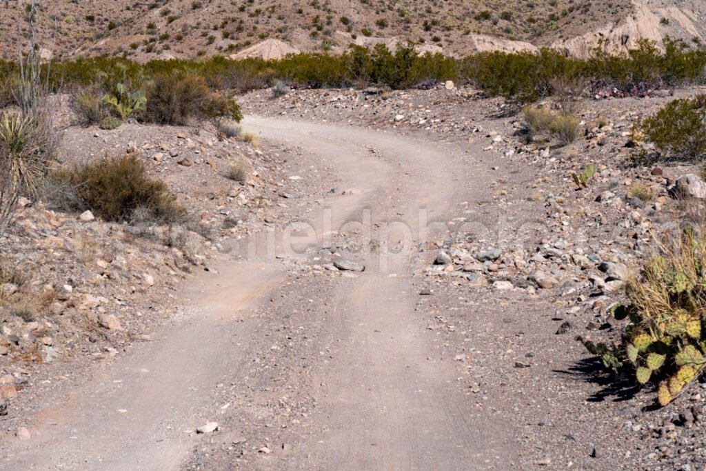 River Road West (Dirt Road) Big Bend A4-12151 - Mansfield Photography