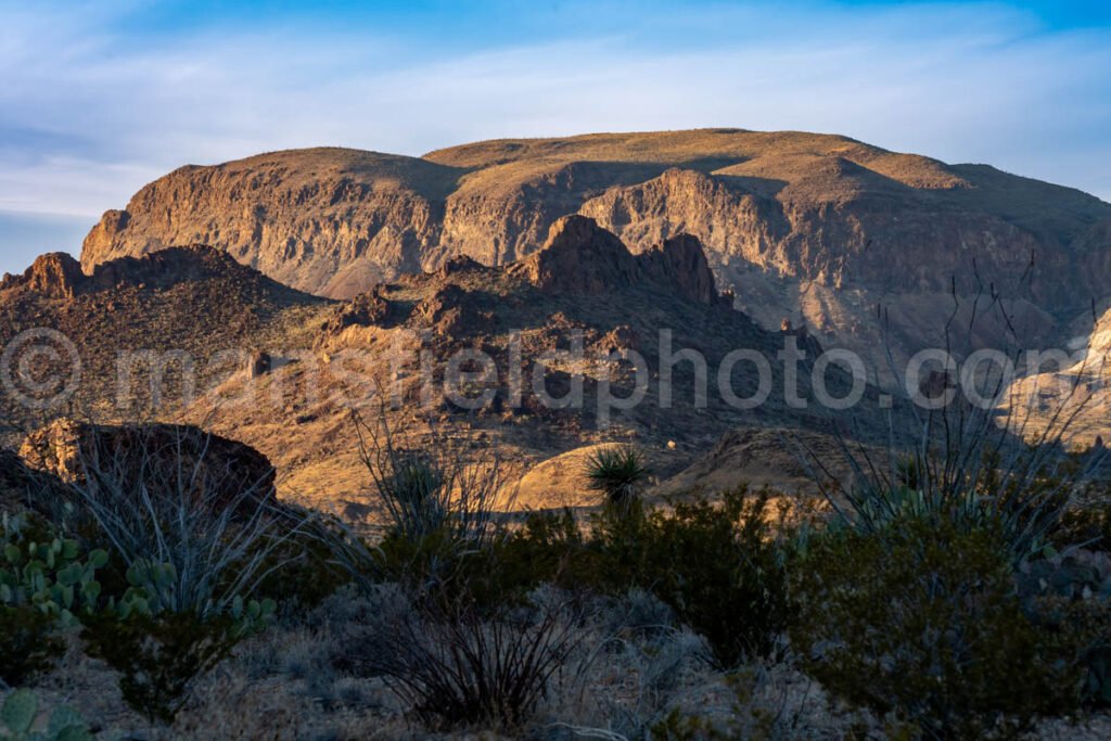 Big Bend National Park, near Mule Ears A4-12193 - Mansfield Photography