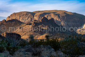 Big Bend National Park, Near Mule Ears A4-12193 - Mansfield Photography