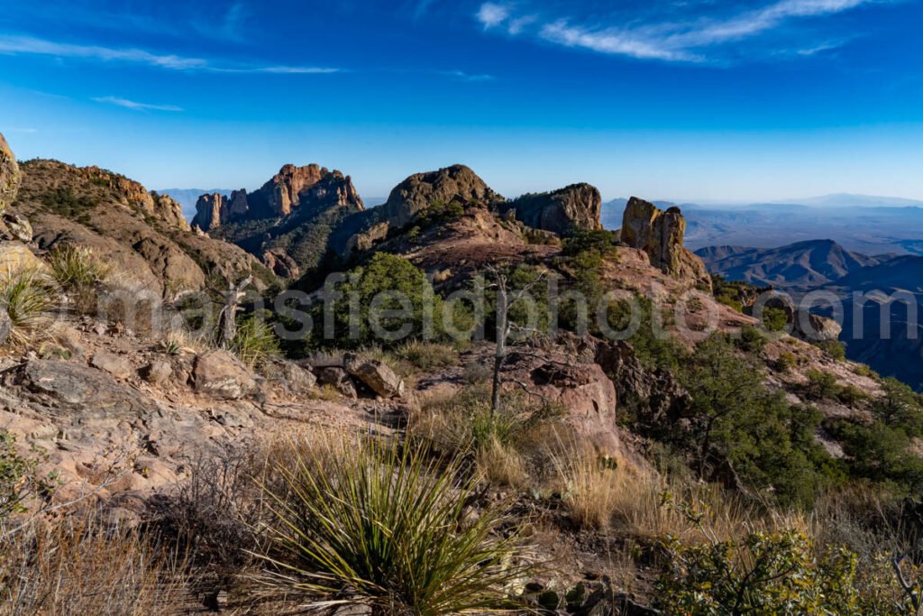 View from Lost Mine Trail, Big Bend National Park A4-12302 - Mansfield Photography