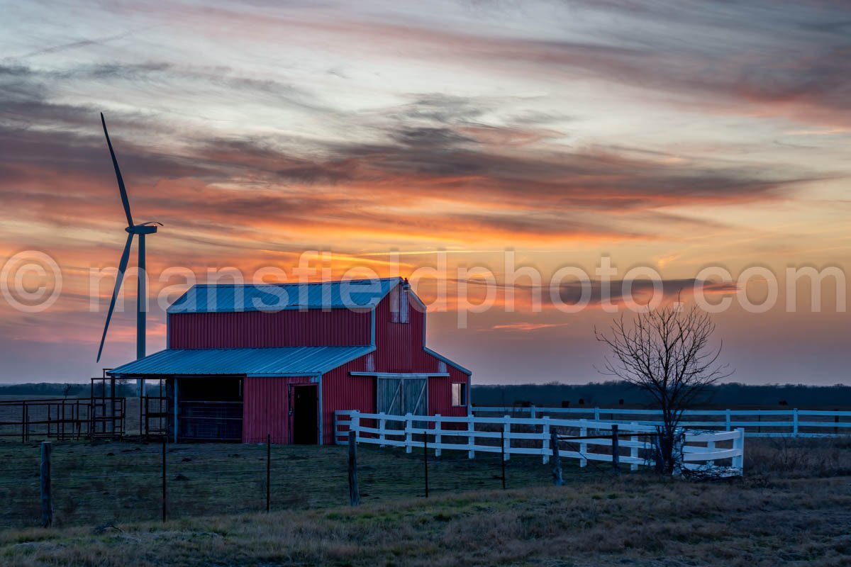 Barn In Texas A4-12418