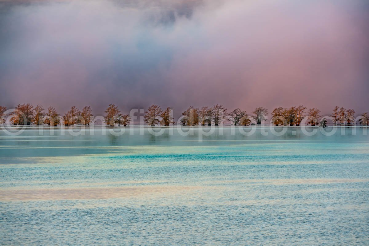 Steinhagen Reservoir, Tx A4-12701