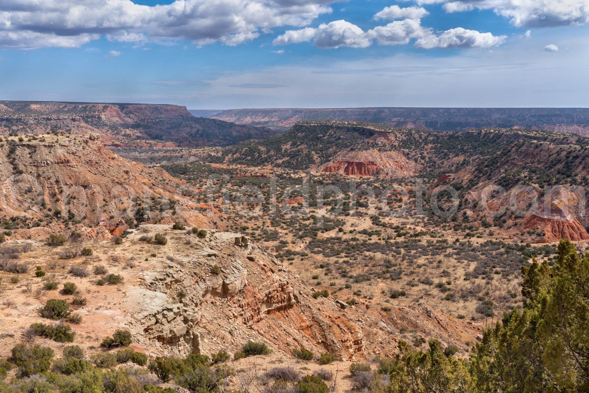 Canyon Overlook A4-13572