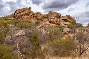 Rock Garden In Palo Duro Canyon A4-13586 - Mansfield Photography