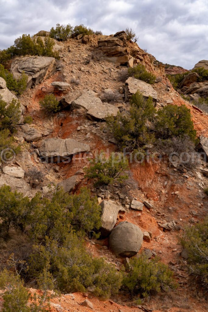 Rock Garden At Palo Duro Canyon, Texas A4-13777 - Mansfield Photography