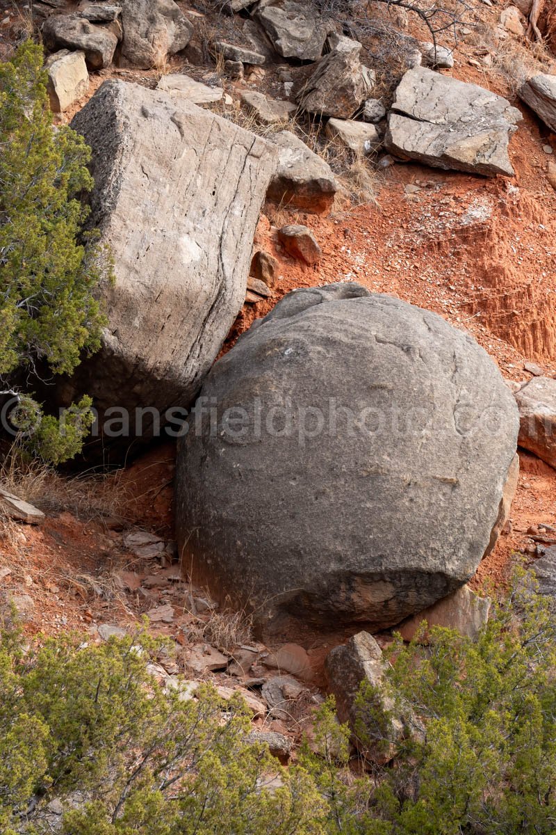 Rock Garden At Palo Duro Canyon, Texas A4-13778