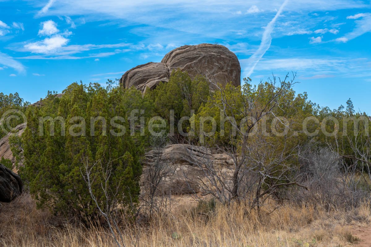 Rock Garden At Palo Duro Canyon, Texas A4-13791