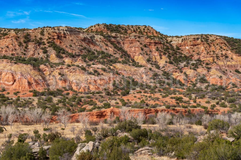 Rock Garden At Palo Duro Canyon, Texas A4-13795 - Mansfield Photography