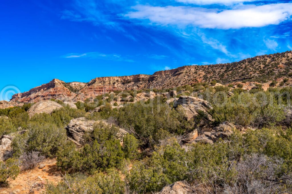 Rock Garden At Palo Duro Canyon, Texas A4-13796 - Mansfield Photography