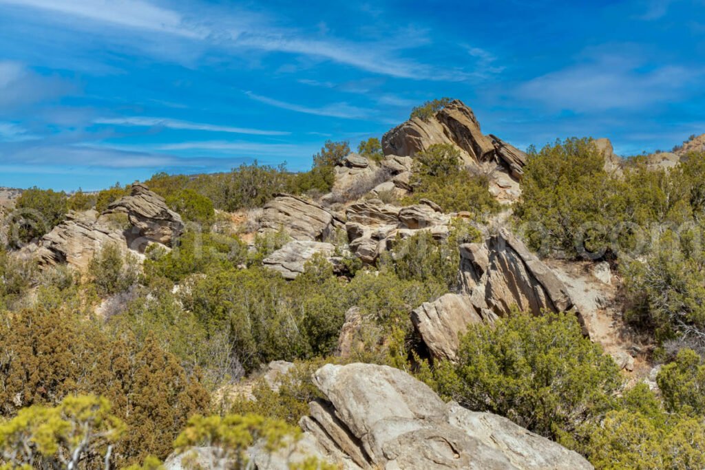 Rock Garden At Palo Duro Canyon, Texas A4-13803 - Mansfield Photography