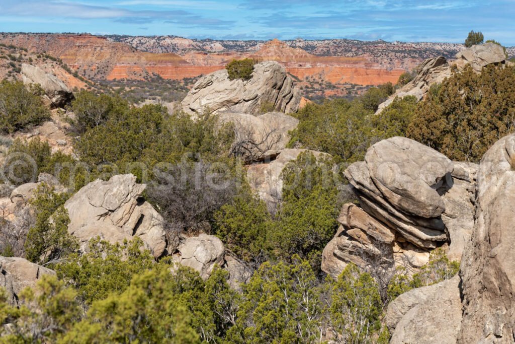 Rock Garden At Palo Duro Canyon, Texas A4-13805 - Mansfield Photography