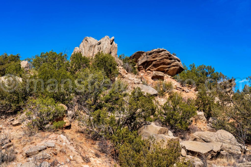 Rock Garden At Palo Duro Canyon, Texas A4-13806 - Mansfield Photography