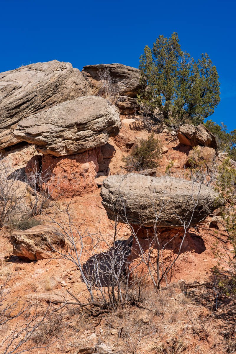 Rock Garden At Palo Duro Canyon, Texas A4-13813