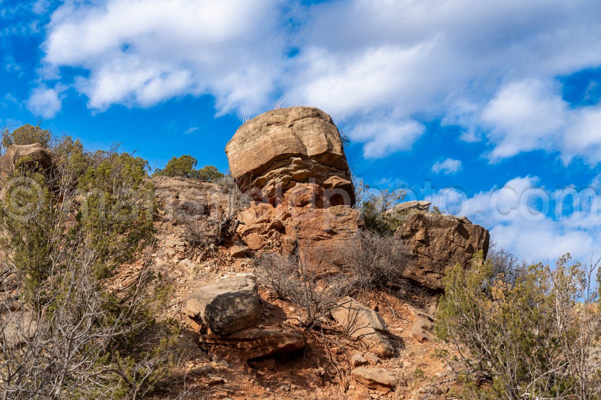 Rock Garden, Palo Duro Canyon A4-13895