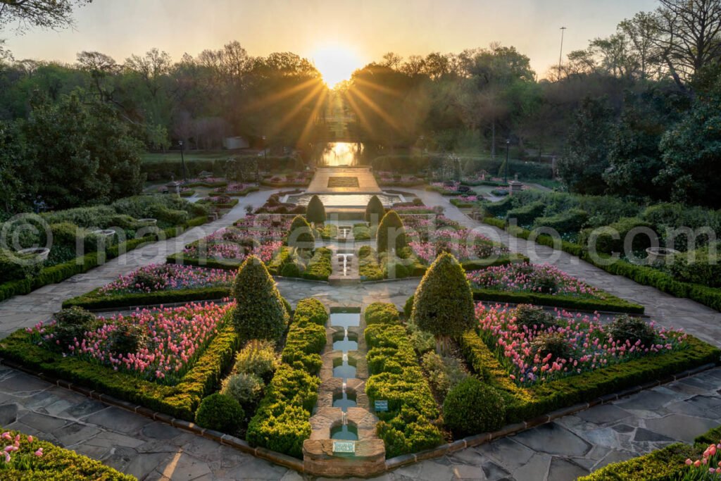 Rose Garden, Fort Worth Botanic Gardens A4-13912 - Mansfield Photography