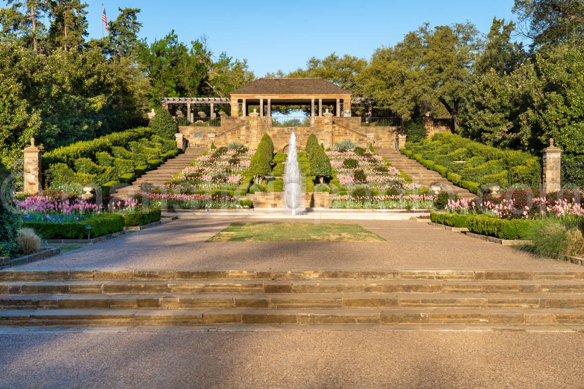 Rose Garden, Fort Worth Botanic Gardens A4-13984