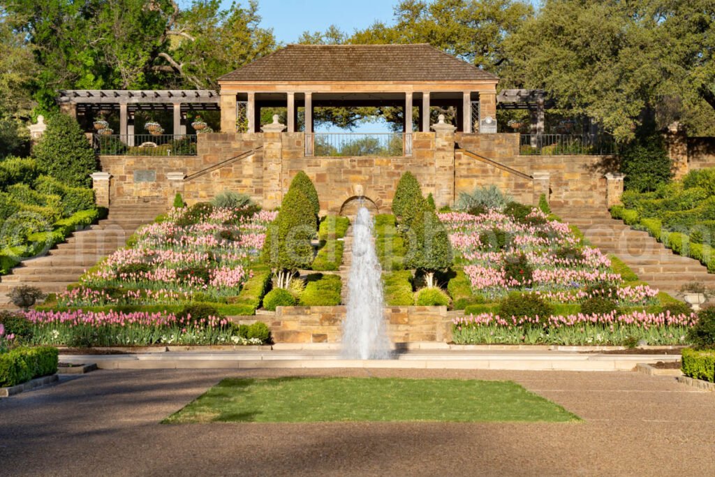 Rose Garden, Fort Worth Botanic Gardens A4-13986 - Mansfield Photography