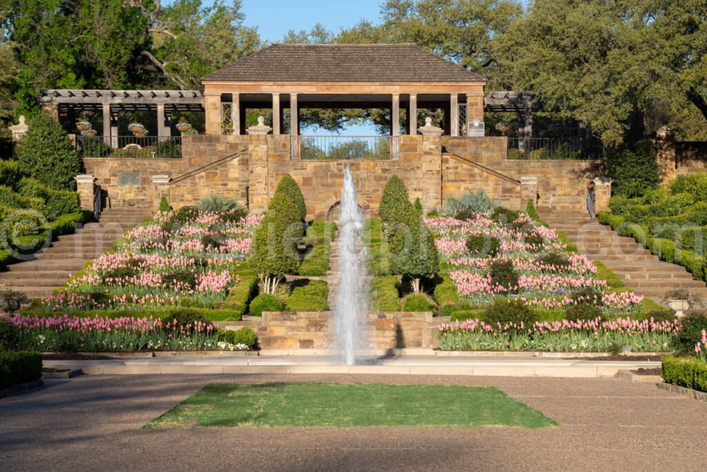 Rose Garden, Fort Worth Botanic Gardens A4-13990 - Mansfield Photography