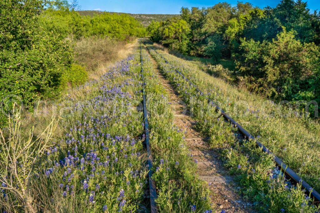 Bluebonnet Railroad Bridge A4-14479 - Mansfield Photography