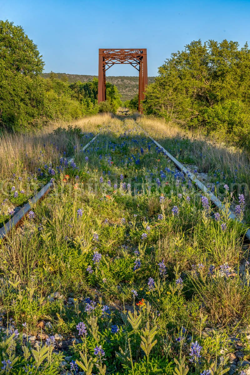 Bluebonnet Railroad Bridge A4-14492