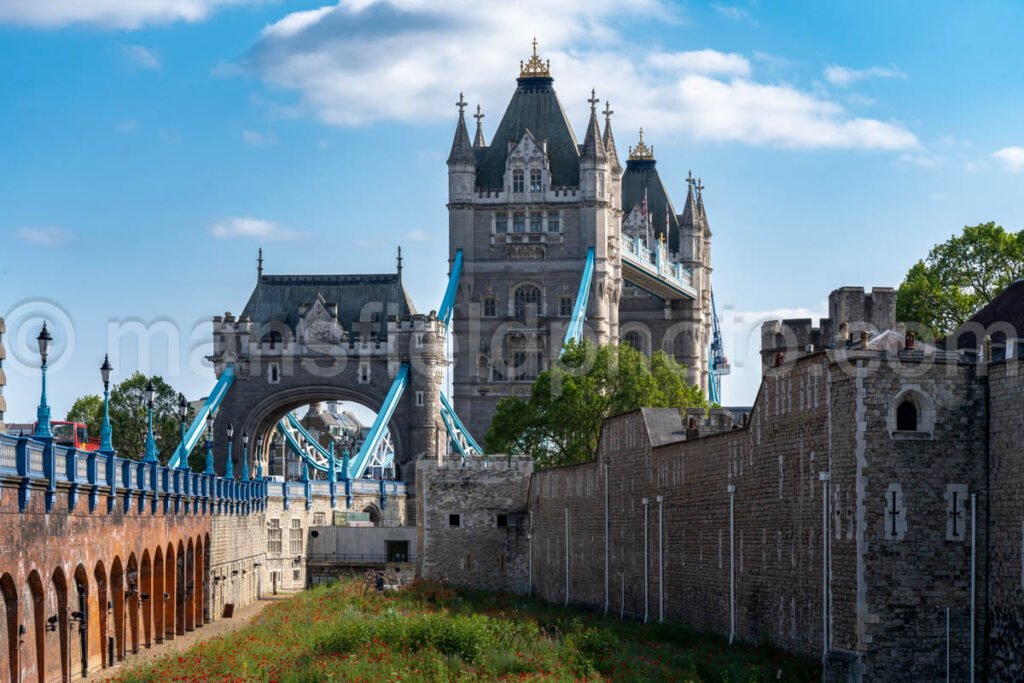 Tower Bridge, London A4-15886 - Mansfield Photography