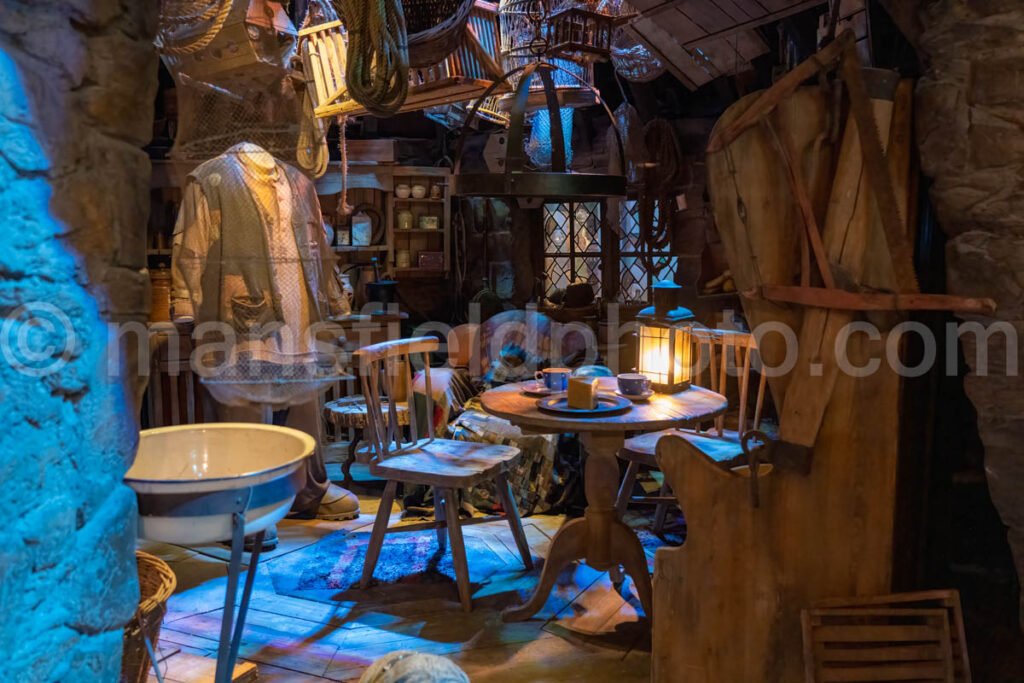 Harry Potter Studio A4-15986 - Mansfield Photography