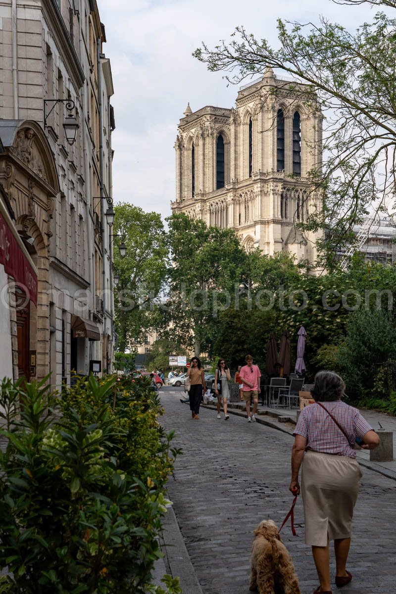 Cathedrale Notre-Dame De Paris A4-16212