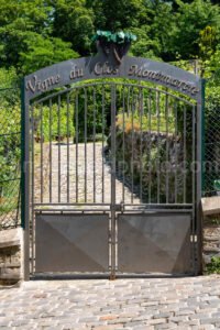 Vigne Du Clos Montmartre A4-16498 - Mansfield Photography