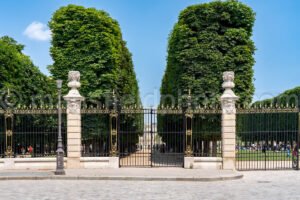 Le Jardin Du Luxemburg A4-16774 - Mansfield Photography