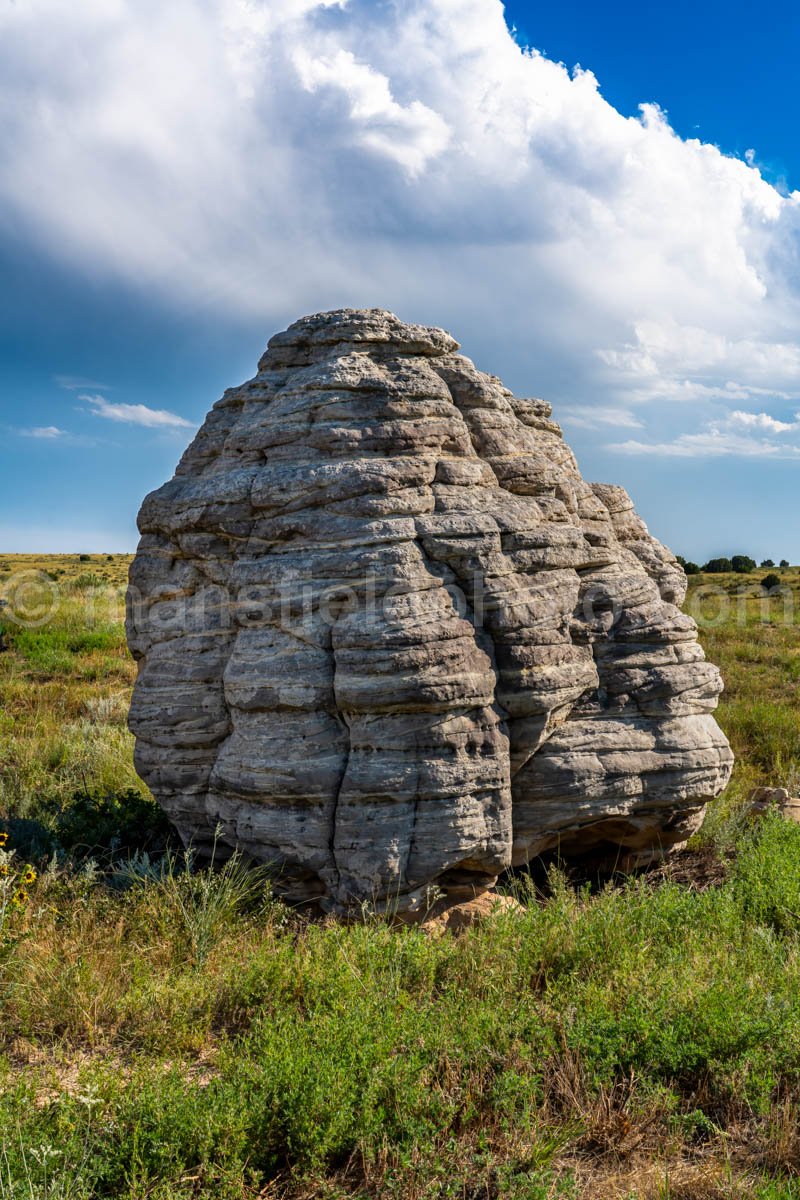 Rock in Colorado A4-16832