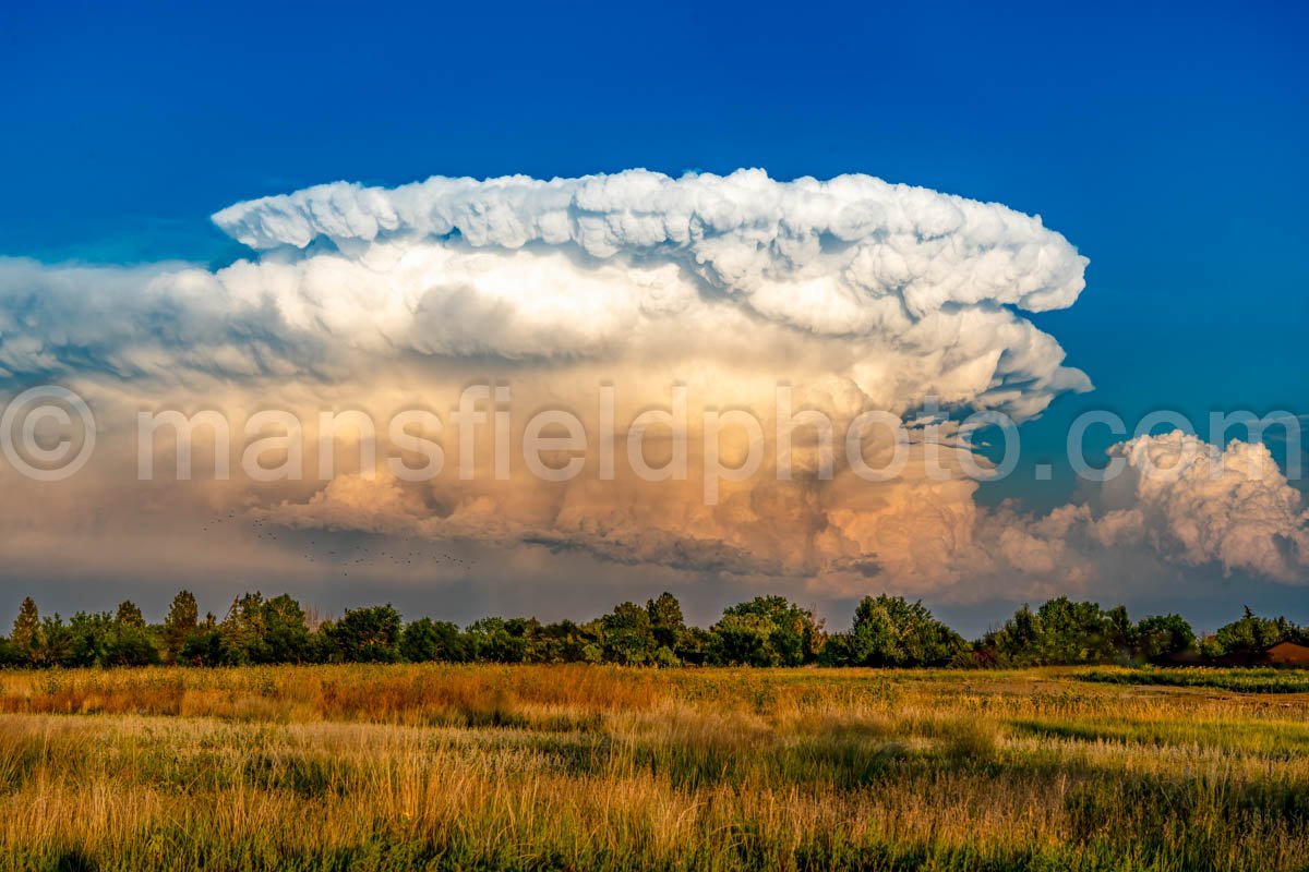 Thunderstorm Cloud A4-16840