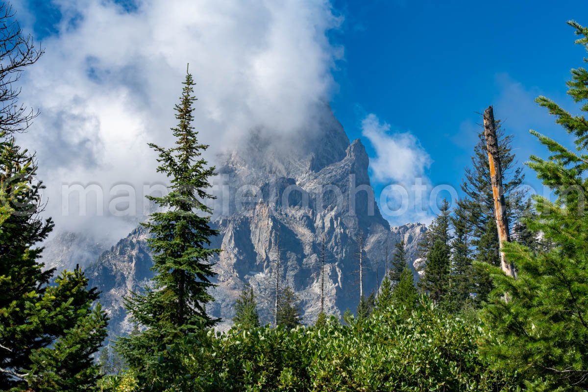 View from String Lake Loop Trail A4-17015