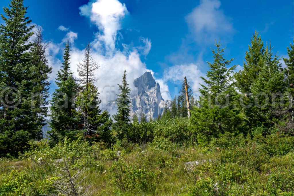 View From String Lake Loop Trail A4-17019 - Mansfield Photography