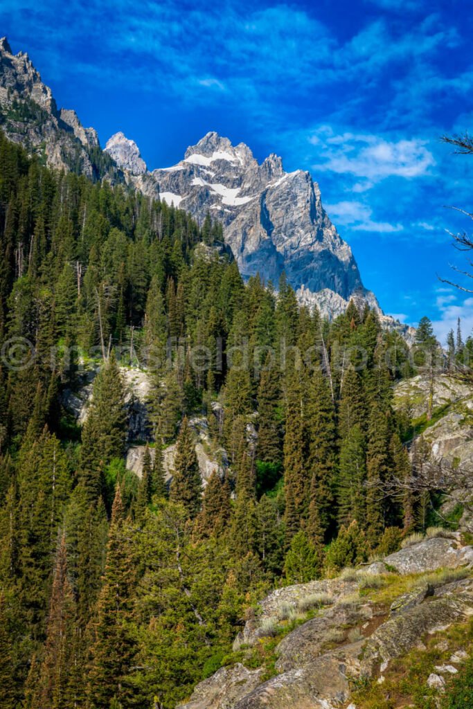 View Into Cascade Canyon A4-17179 - Mansfield Photography