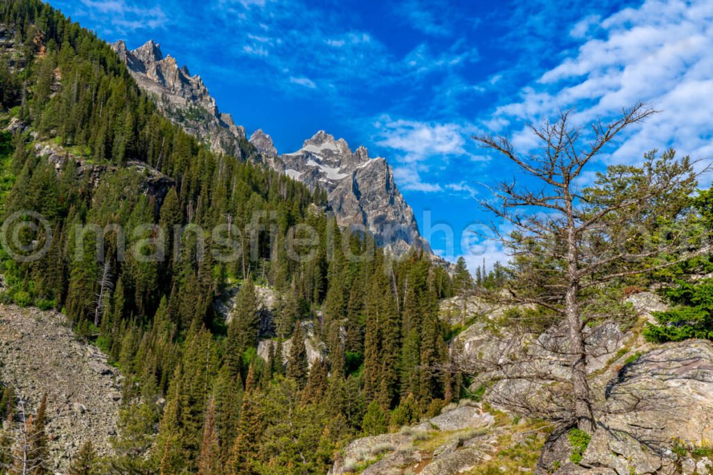 View Into Cascade Canyon A4-17180 - Mansfield Photography