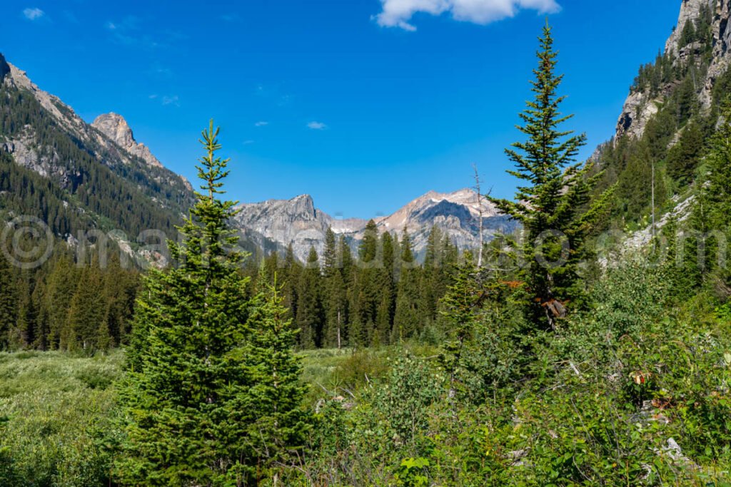 Cascade Canyon A4-17182 - Mansfield Photography