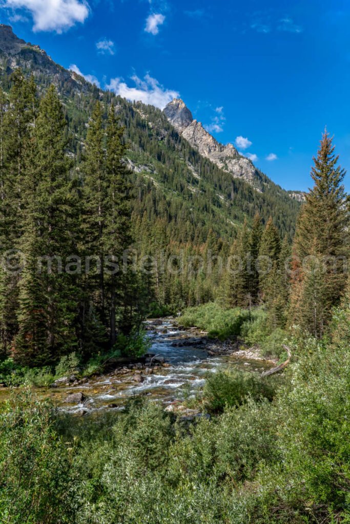 Cascade Canyon A4-17198 - Mansfield Photography