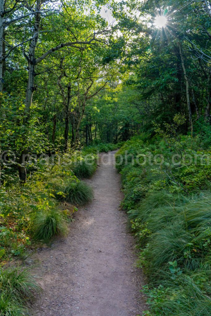 Path In Glacier National Park A4-17340 - Mansfield Photography