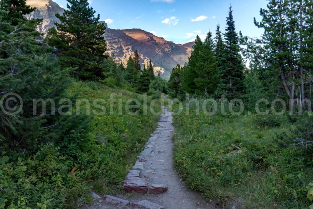 Many Glacier area in Glacier National Park A4-17403 - Mansfield Photography