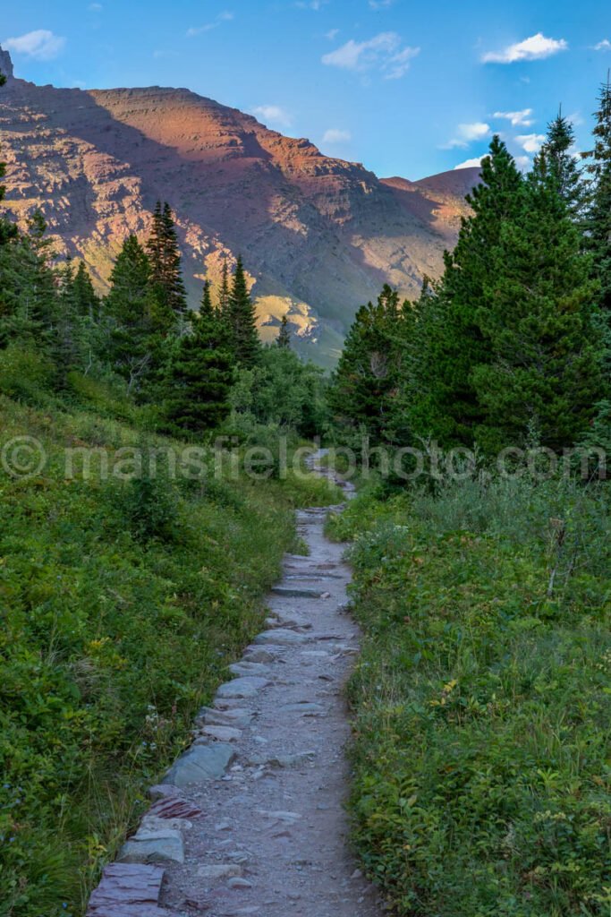 Many Glacier area in Glacier National Park A4-17406 - Mansfield Photography