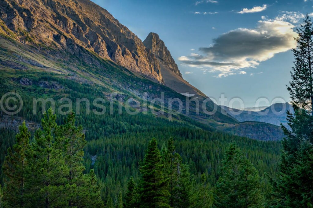 Many Glacier Area In Glacier National Park A4-17409 - Mansfield Photography