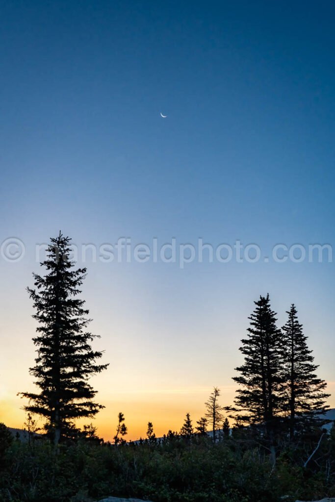 Sunrise at Swiftcurrent Lake A4-17412 - Mansfield Photography