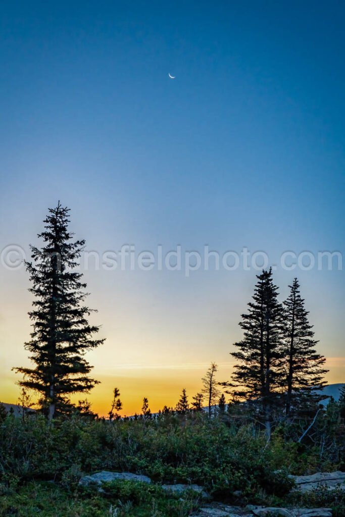 Sunrise at Swiftcurrent Lake A4-17415 - Mansfield Photography