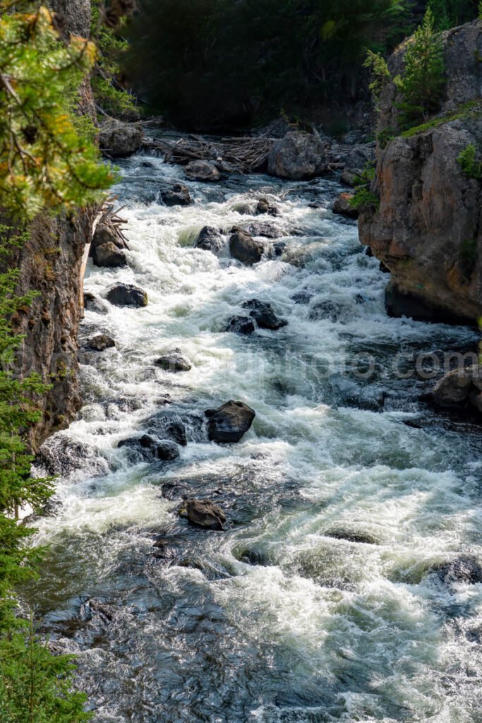 Yellowstone National Park A4-17673 - Mansfield Photography