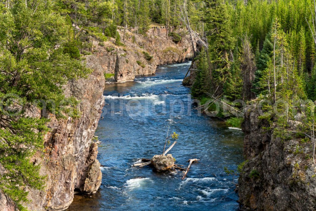 Yellowstone National Park A4-17674 - Mansfield Photography