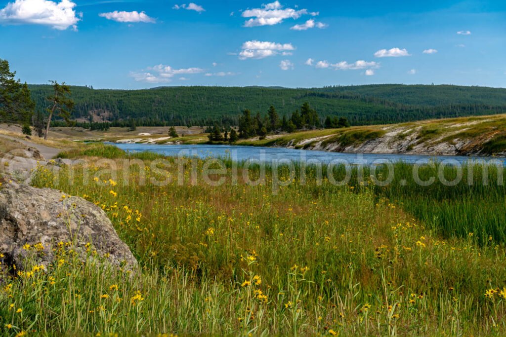 Yellowstone National Park A4-17682 - Mansfield Photography