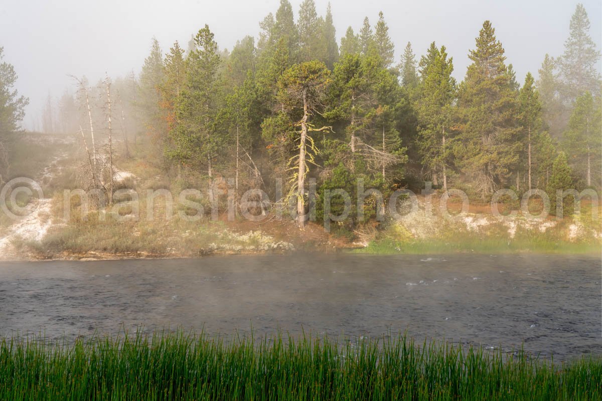 Firehole River in Yellowstone National Park A4-17762