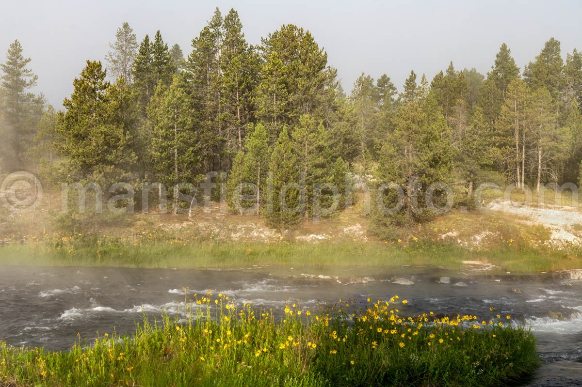 Firehole River In Yellowstone National Park A4-17768