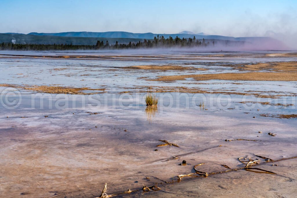 Toward Grand Prismatic Spring In Yellowstone National Park A4-17800 - Mansfield Photography